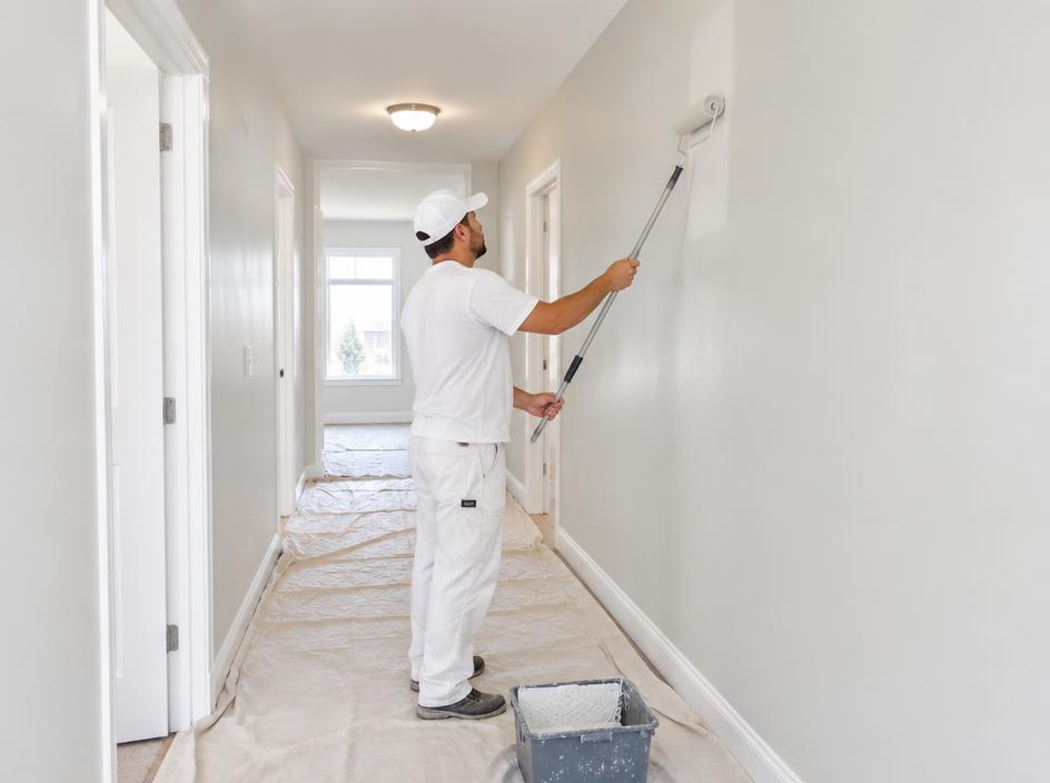 Arborist Cost Guide for Launceston in Launceston
